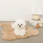 くまさんファーマット - 画像 (7)