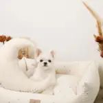 撥水お星さまとお月さま柄刺繍キルティングクッションベッド - 画像 (4)