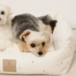 撥水お星さまとお月さま柄刺繍キルティングクッションベッド - 画像 (6)