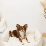 撥水お星さまとお月さま柄刺繍キルティングクッションベッド - 画像 (8)