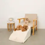 ファースエードスローステップ階段 - 画像 (3)