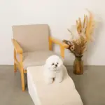 ファースエードスローステップ階段 - 画像 (4)