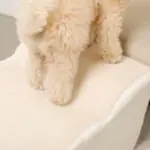 ファースエードスローステップ階段 - 画像 (8)