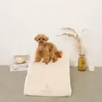 ファースエードスローステップ階段 - 画像 (10)