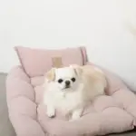 3wayクッションベッド - 画像 (3)