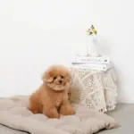 3wayクッションベッド - 画像 (9)