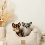 撥水ふんわりドライブペットベッド - 画像 (6)