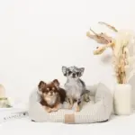 ギンガムチェッククッションベッド - 画像 (4)