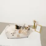 ギンガムチェッククッションベッド - 画像 (6)