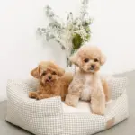 ギンガムチェッククッションベッド - 画像 (8)