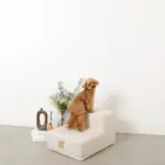 ペットキルティング階段 - 画像 (4)