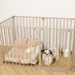 ペットケージ - 画像 (4)