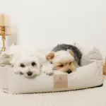 防汚加工シンプルクッションベッド - 画像 (3)