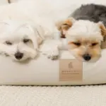 防汚加工シンプルクッションベッド - 画像 (4)