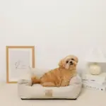 防汚加工シンプルクッションベッド - 画像 (7)