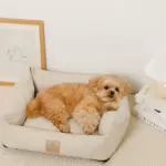 防汚加工シンプルクッションベッド - 画像 (8)