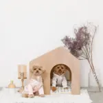 室内用ストライプペットハウス クッション付 - 画像 (2)