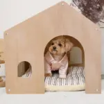 室内用ストライプペットハウス クッション付 - 画像 (5)