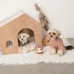 室内用ストライプペットハウス クッション付 - 画像 (7)