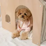 室内用ストライプペットハウス クッション付 - 画像 (9)