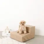 エコレザー階段 - 画像 (2)