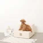 エコレザー階段 - 画像 (4)