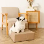 エコレザー階段 - 画像 (5)