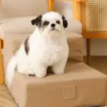 エコレザー階段 - 画像 (6)