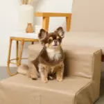 エコレザー階段 - 画像 (7)