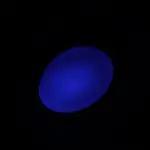 USB充電式猫足レーザーポインター - 画像 (8)