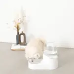 ペット用ウォーターサーバー - 画像 (4)