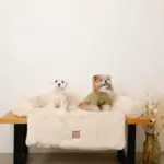 2wayソファー掛けファーベッド - 画像 (2)