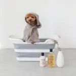 折りたたみコンパクトペットバス - 画像 (2)