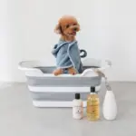 折りたたみコンパクトペットバス - 画像 (3)
