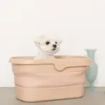 折りたたみ持ち手付ペットバス - 画像 (2)