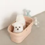 折りたたみ持ち手付ペットバス - 画像 (4)