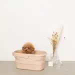 折りたたみ持ち手付ペットバス - 画像 (5)