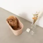 折りたたみ持ち手付ペットバス - 画像 (6)