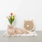 ねこ型壁掛け爪とぎマット - 画像 (2)