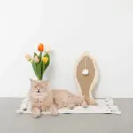 さかな型壁掛け爪とぎマット - 画像 (2)