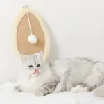 さかな型壁掛け爪とぎマット - 画像 (3)