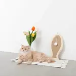 さかな型壁掛け爪とぎマット - 画像 (5)