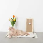 長方形壁掛け爪とぎマット - 画像 (2)