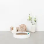 コロコロボール付サークル爪とぎ - 画像 (2)