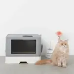 スコップ付スクエアキャットトイレ - 画像 (5)