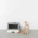 スコップ付スクエアキャットトイレ - 画像 (6)