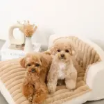 もこもこソファクッションベッド - 画像 (4)