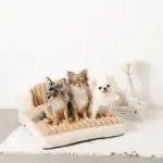 もこもこソファクッションベッド - 画像 (5)