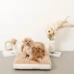 もこもこソファクッションベッド - 画像 (6)