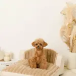 もこもこソファクッションベッド - 画像 (8)